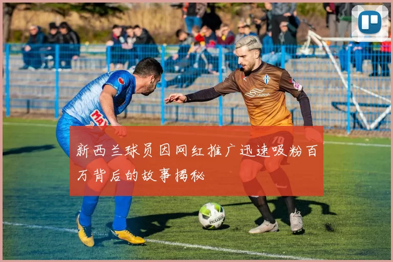 新西兰球员因网红推广迅速吸粉百万背后的故事揭秘