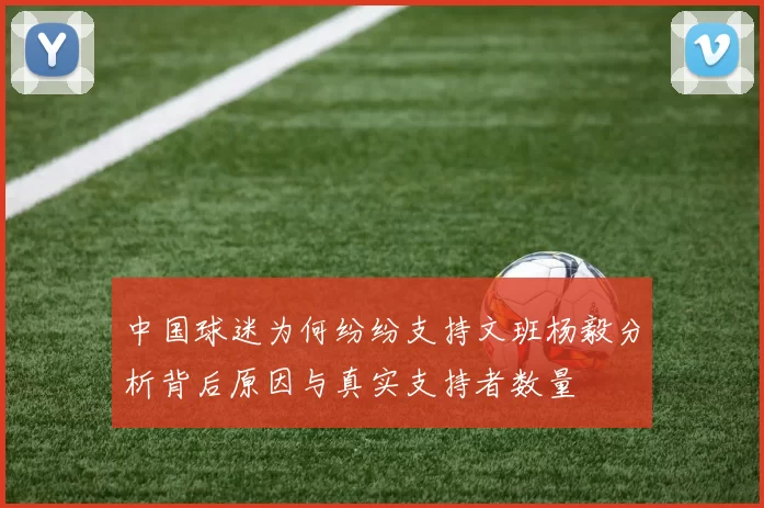 中国球迷为何纷纷支持文班杨毅分析背后原因与真实支持者数量